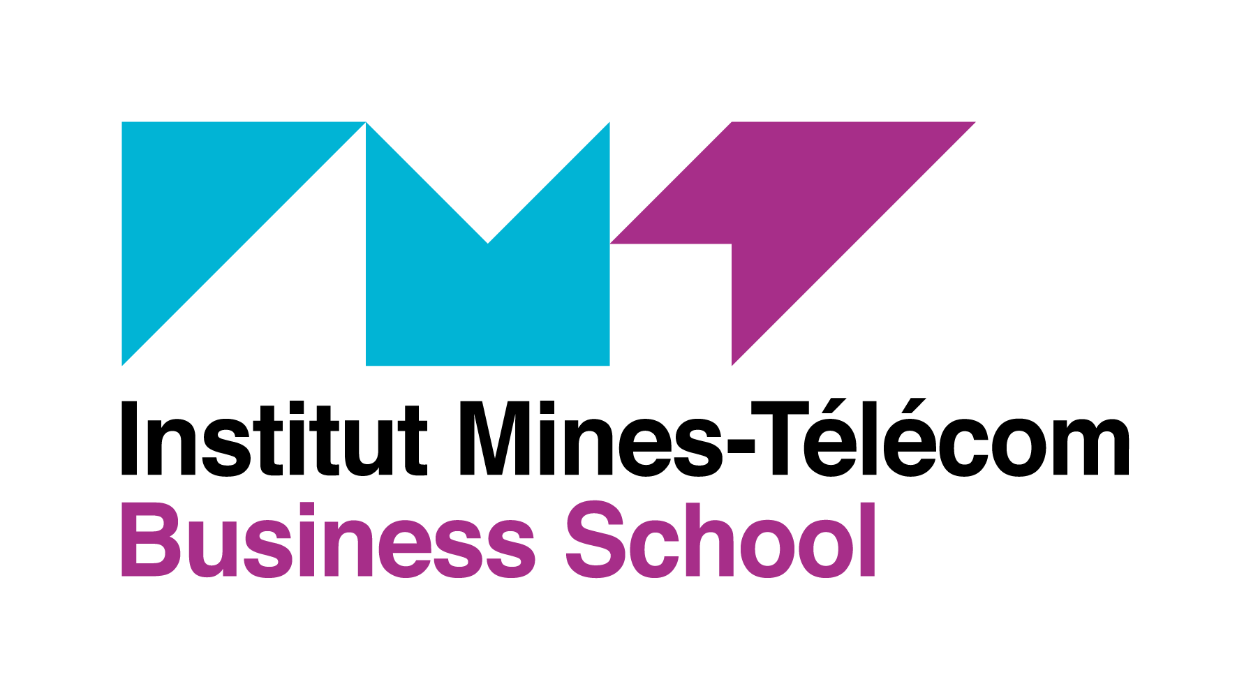 Institut Mines-Télécom Business School 